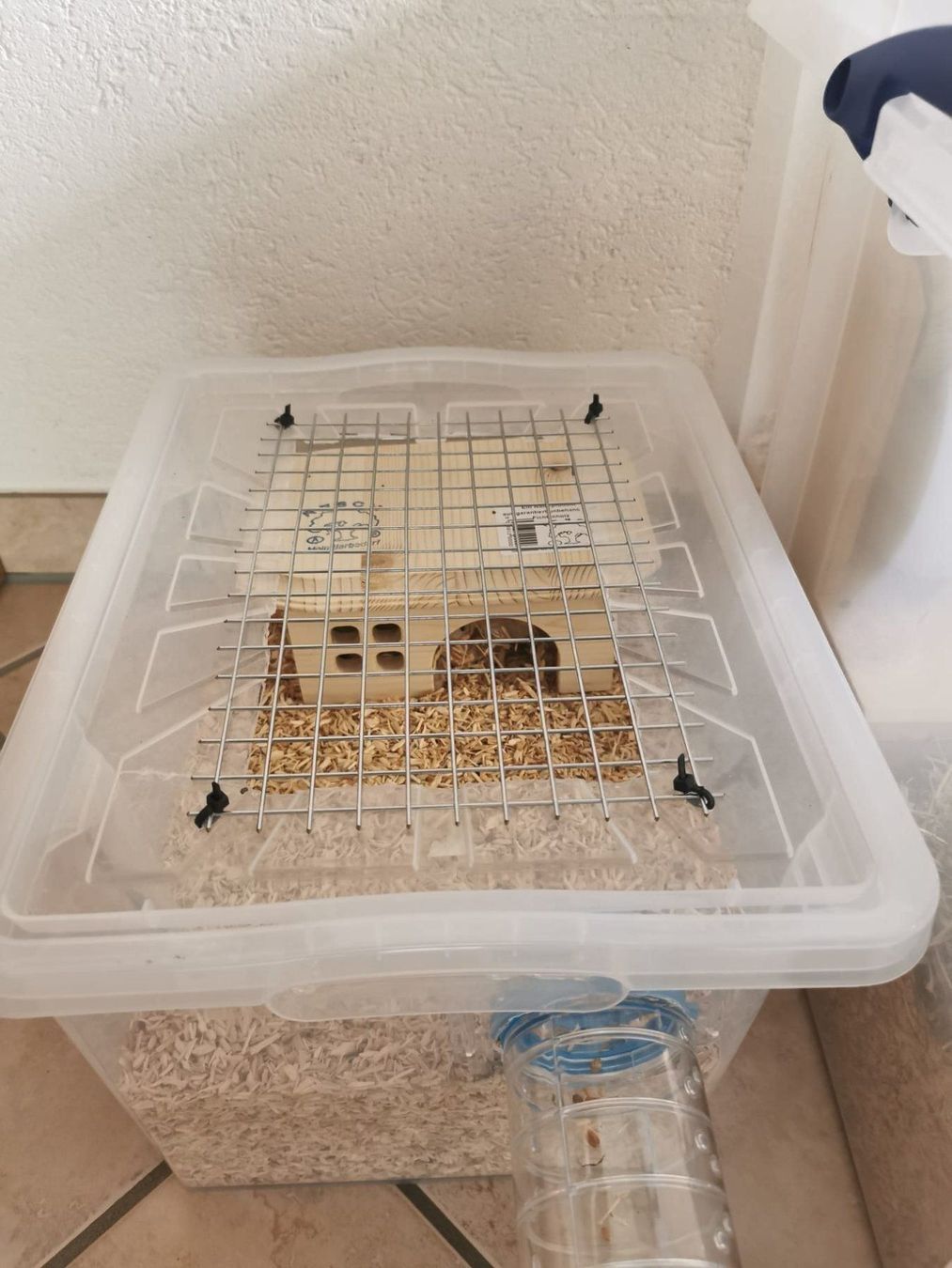 Gabbie, trasporto & Sicurezza: Cage rongeur fait maison + accessoires – Usato da Moutier venduto da Matteoleroux