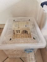 Cage rongeur fait maison + accessoires