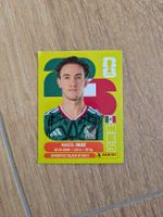 Panini Bild MEX 12