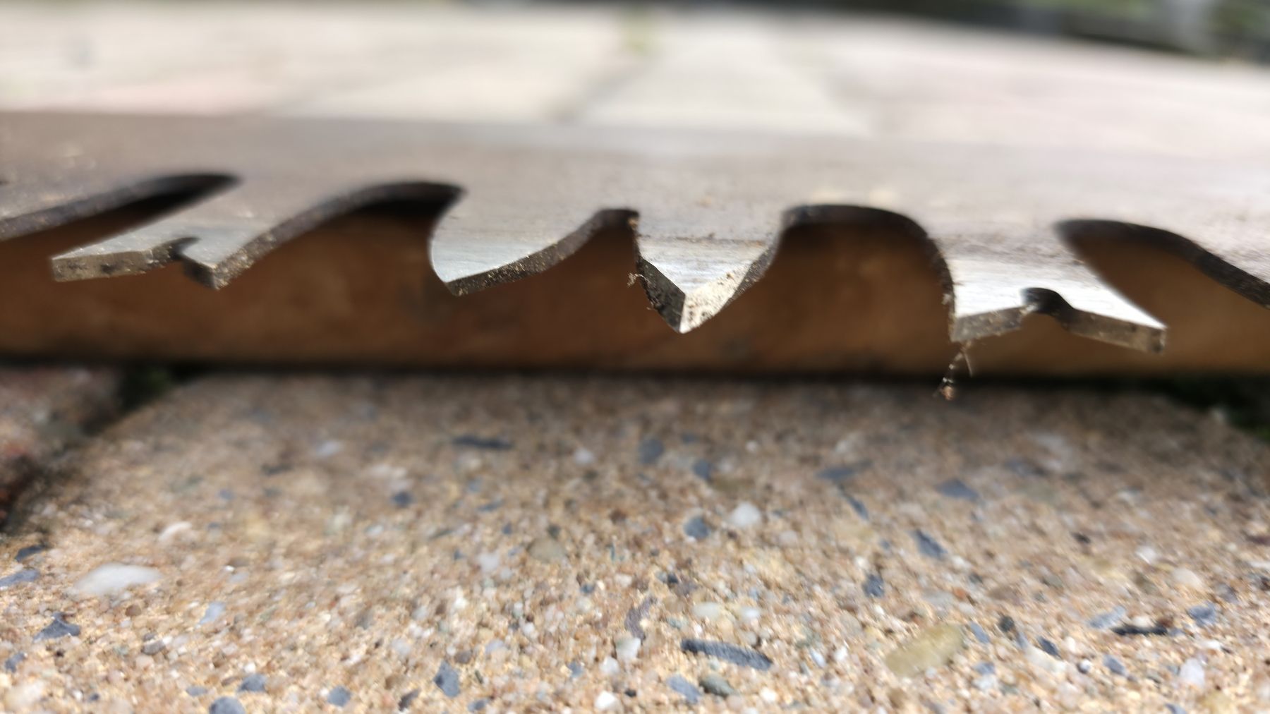Scies: Alte Säge  – D'occasion à Birrwil par maz_rb66 8