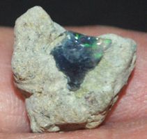 Edelstein L-9456– Schwarzer Äthiopischer Opal roh 7,95 Karat