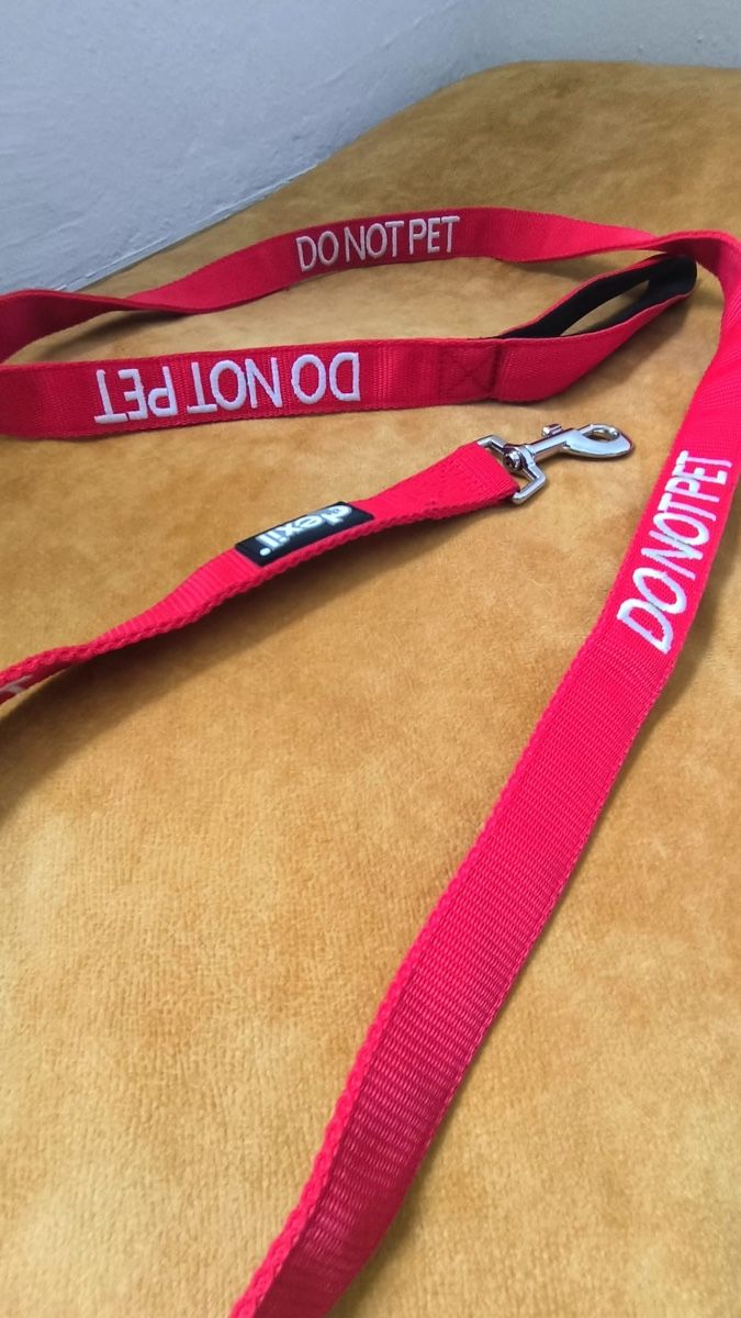 Leine & Halsband: Hundeleine – Gebraucht aus Seuzach von laj_p6gj 3