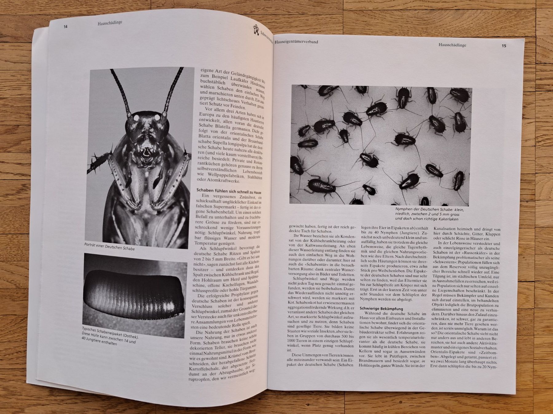 Riviste & Magazine: Hausschädlinge Hauseigentümer Heft ca. 1990 – Usato da Zwingen venduto da Tigertimmi 1