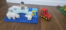 Lego Duplo Zoo Eisbären