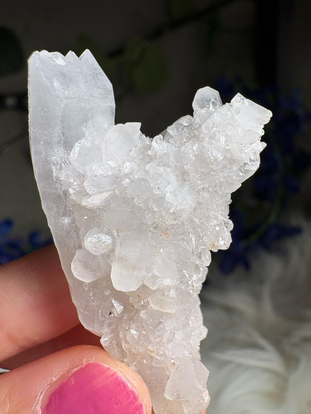 Minerali & Pietre curative: Kolumbianischer Lemurian-Quarz-Cluster – Nuovo (secondo la descrizione) da Neuheim venduto da m.hald 1