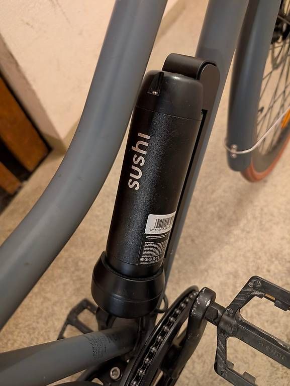 Biciclette: Sushi California Roll Pedelec / E-Bike – Usato da Bern venduto da azidan 1
