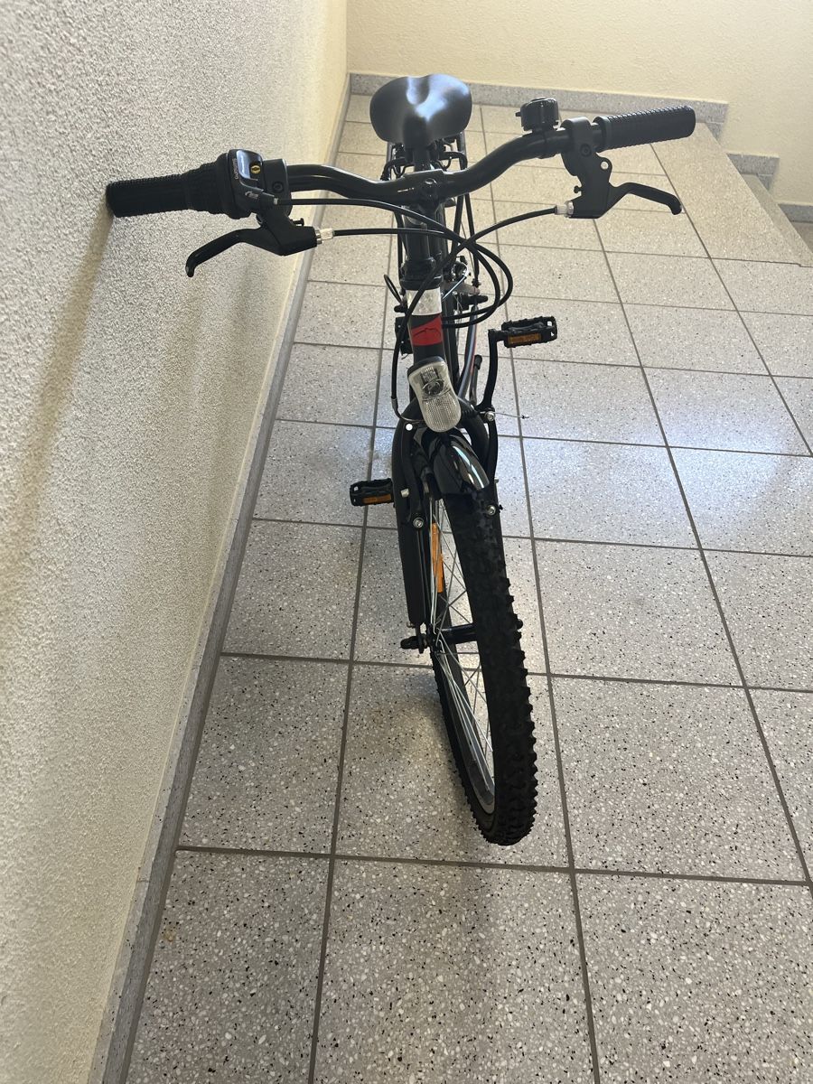 Leopard Biciclette: Velo 20 Zoll Leopard Flash cat 20 – Usato da Zürich venduto da Chloemanza 1