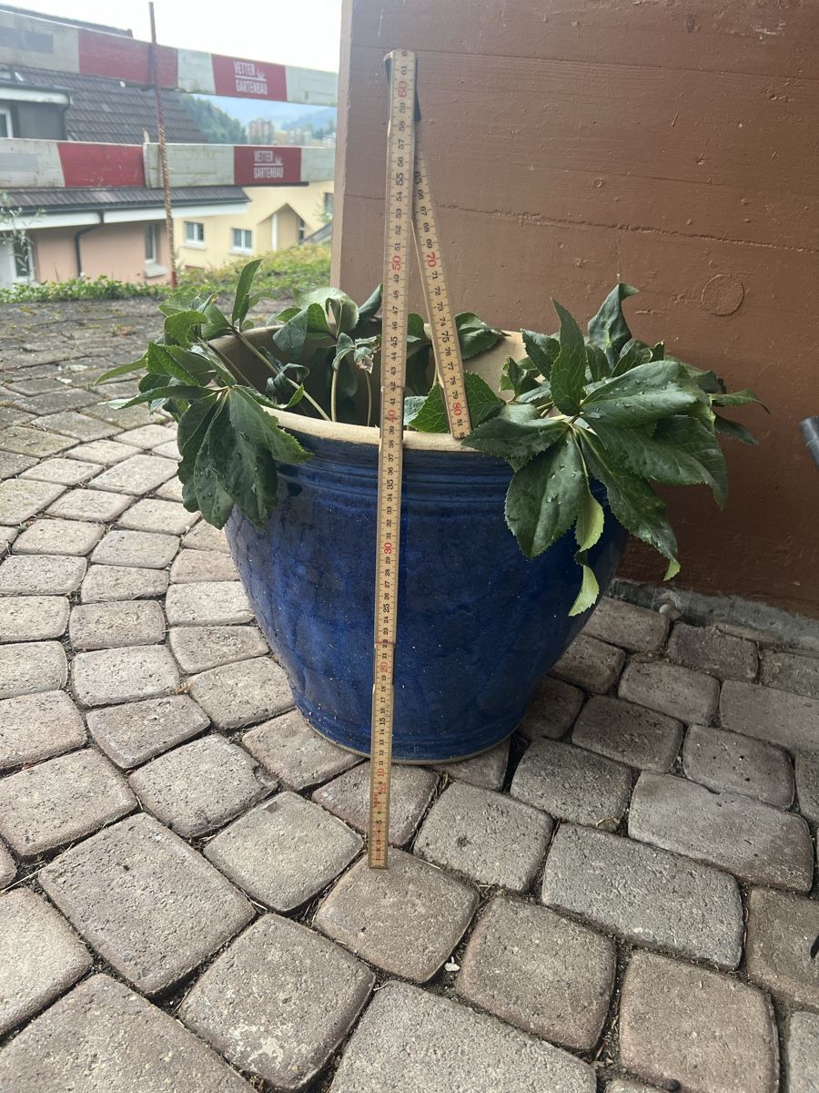 Blumentöpfe: Pflanze in Blauem Topf – Gebraucht aus Perlen von Chregle1