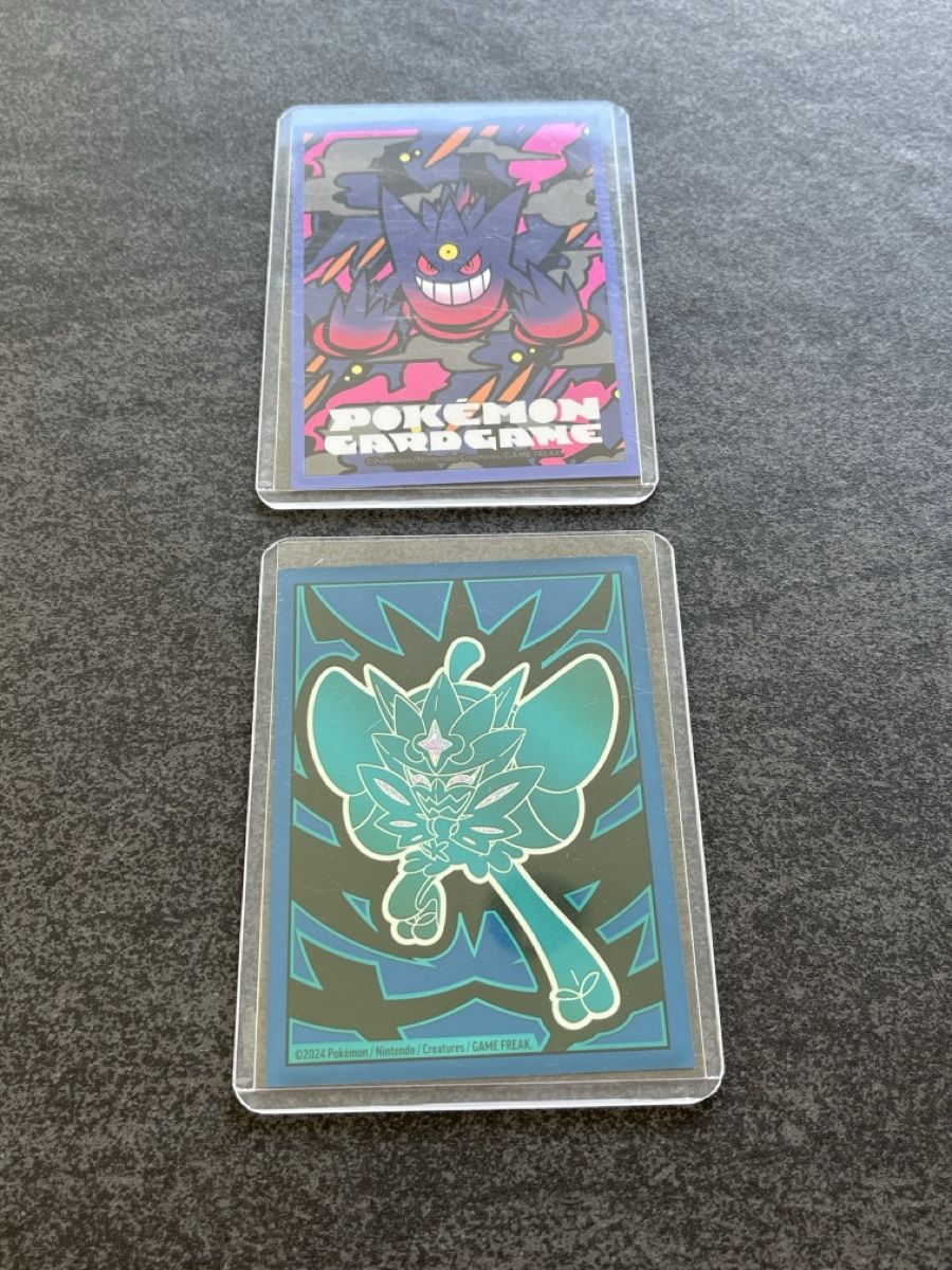 Pokémon Carte collezionabili: Pokémon Trainer (Brawly & Leon) – Nuovo (secondo la descrizione) da Zug venduto da Haegito 1