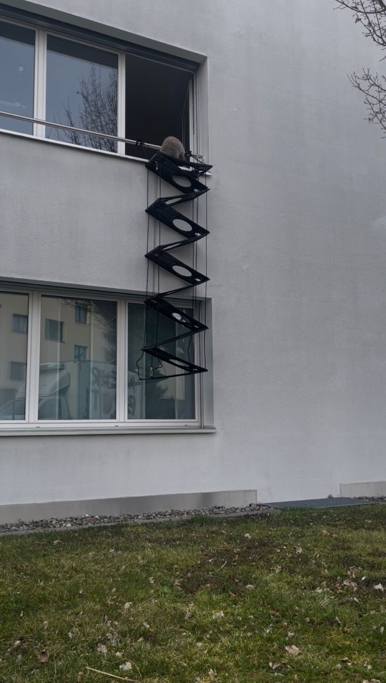Scale: Katzenleiter mobil – Usato da Uster venduto da AndiRados