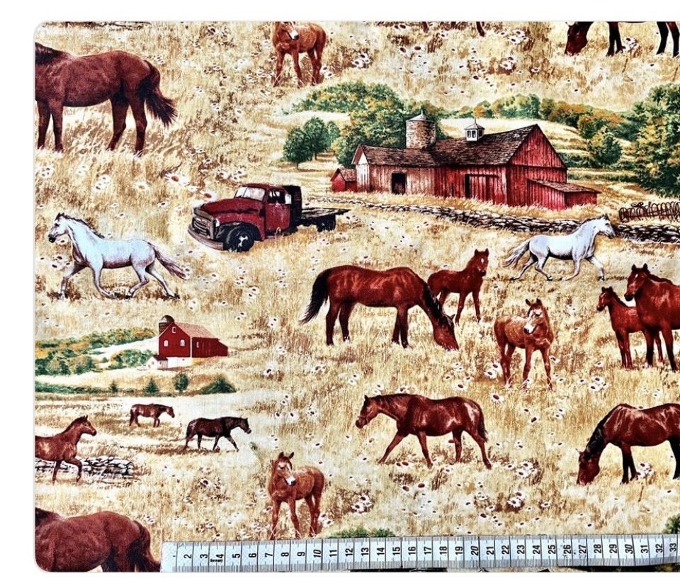 Tessuti: Patchworkstoffe 2er Set Pferdekoppel/Hauswand – Nuovo (secondo la descrizione) da Seuzach venduto da KreativmitStoff 1
