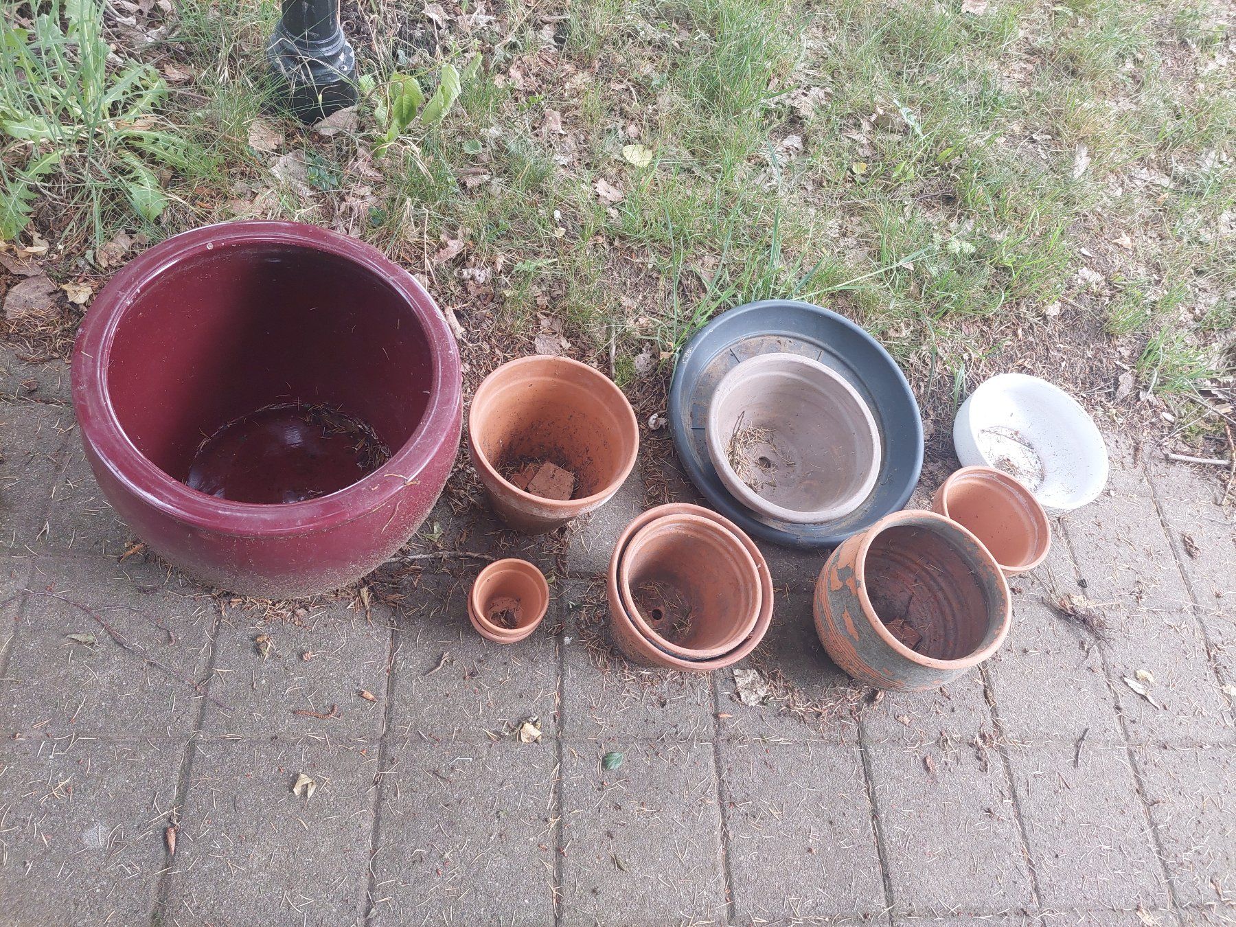 Blumentöpfe: Blumentöpfe Terracotta, Ton – Gebraucht aus Kirchlindach von dor_qj8q 3