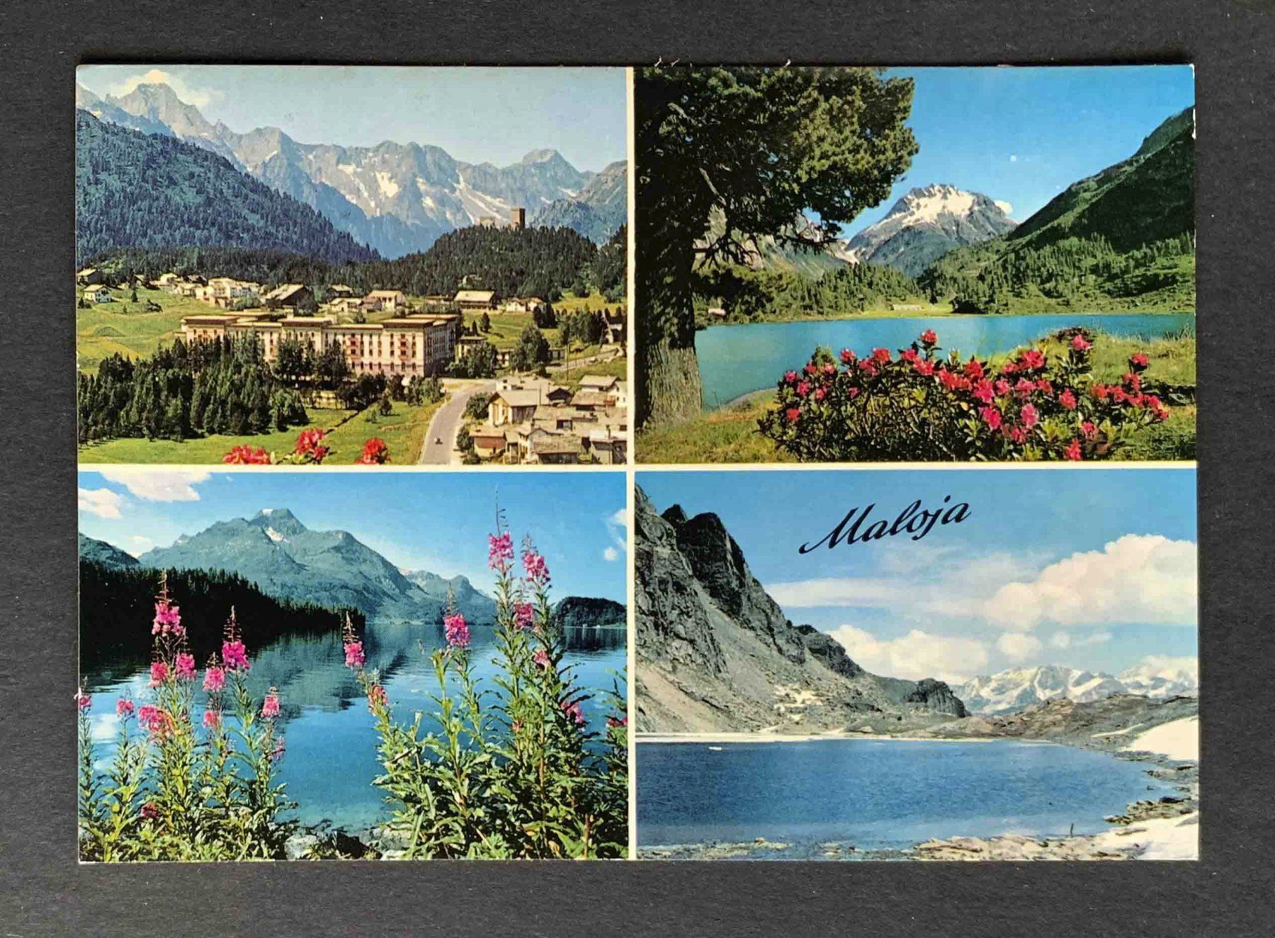 Cartoline postali: AK Maloja Oberengadin – Usato da Goldau venduto da artelier1