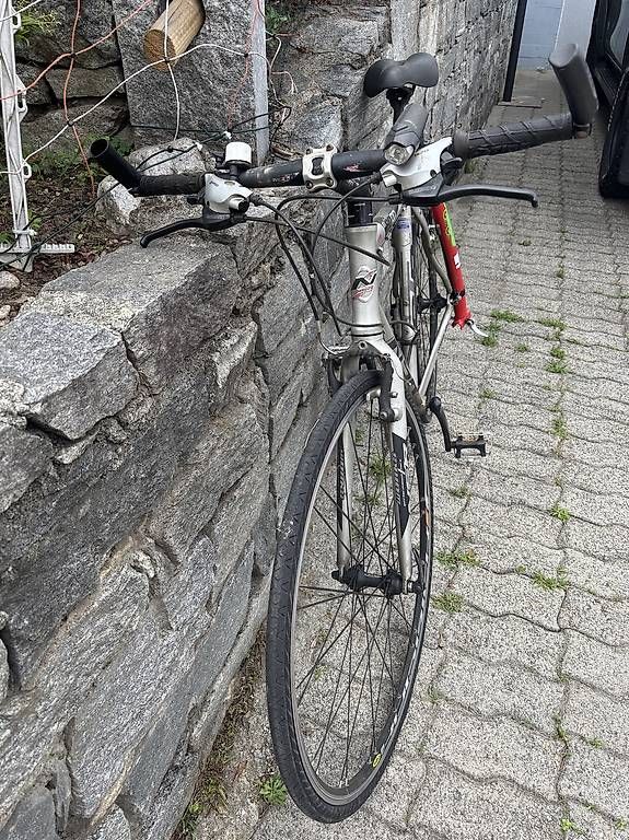 Velos: Vendo bicicletta – Gebraucht aus Gudo von Richina 1