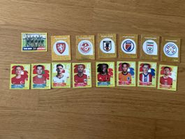 15 verschiedene Fifa WM 2026 Panini Sticker 