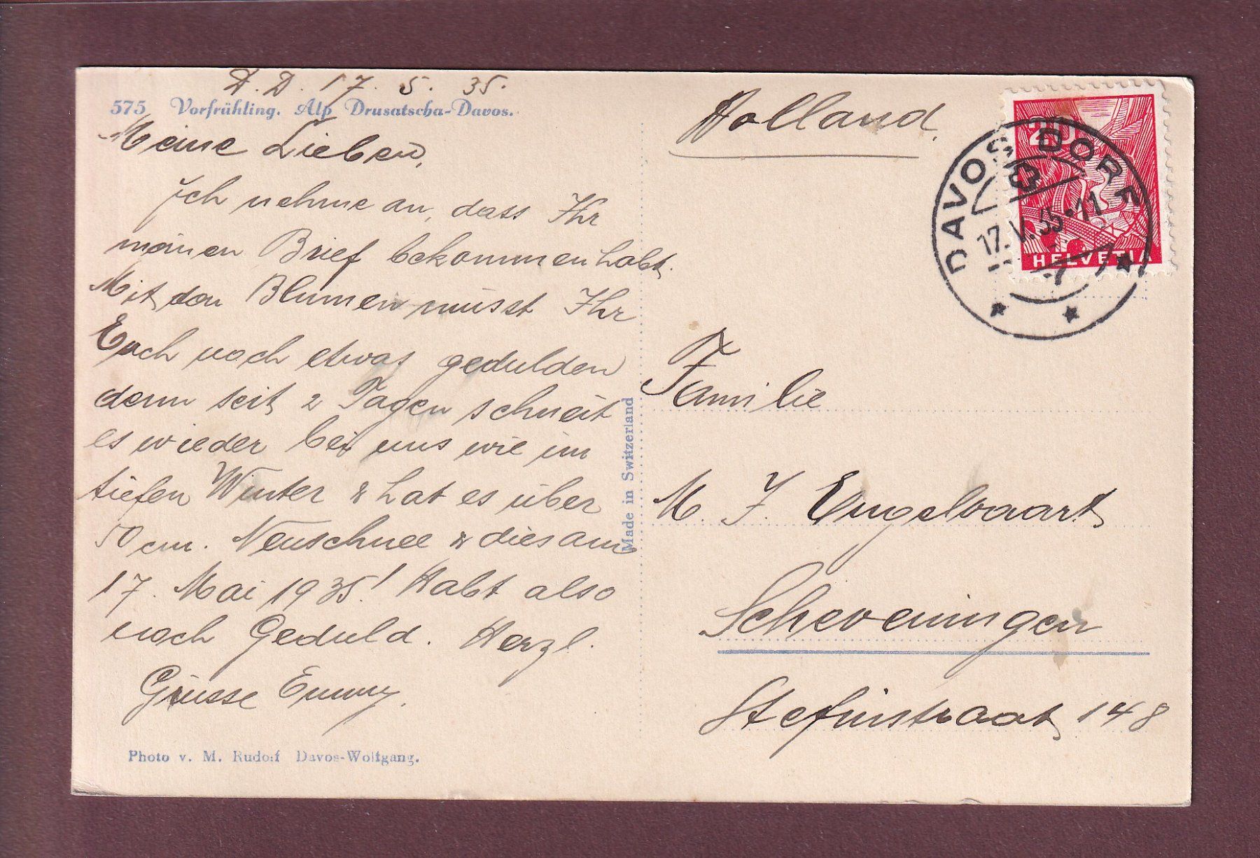 Cartoline postali: Davos - ALP DRUSATSCHA - Krokus - 1935 – Usato da Pully venduto da nicecards 1