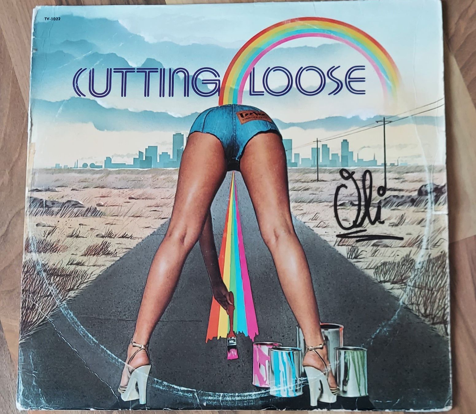 Vinyles: DOPPEL LP - CUTTING LOOSE – D'occasion à Steckborn par Quo7