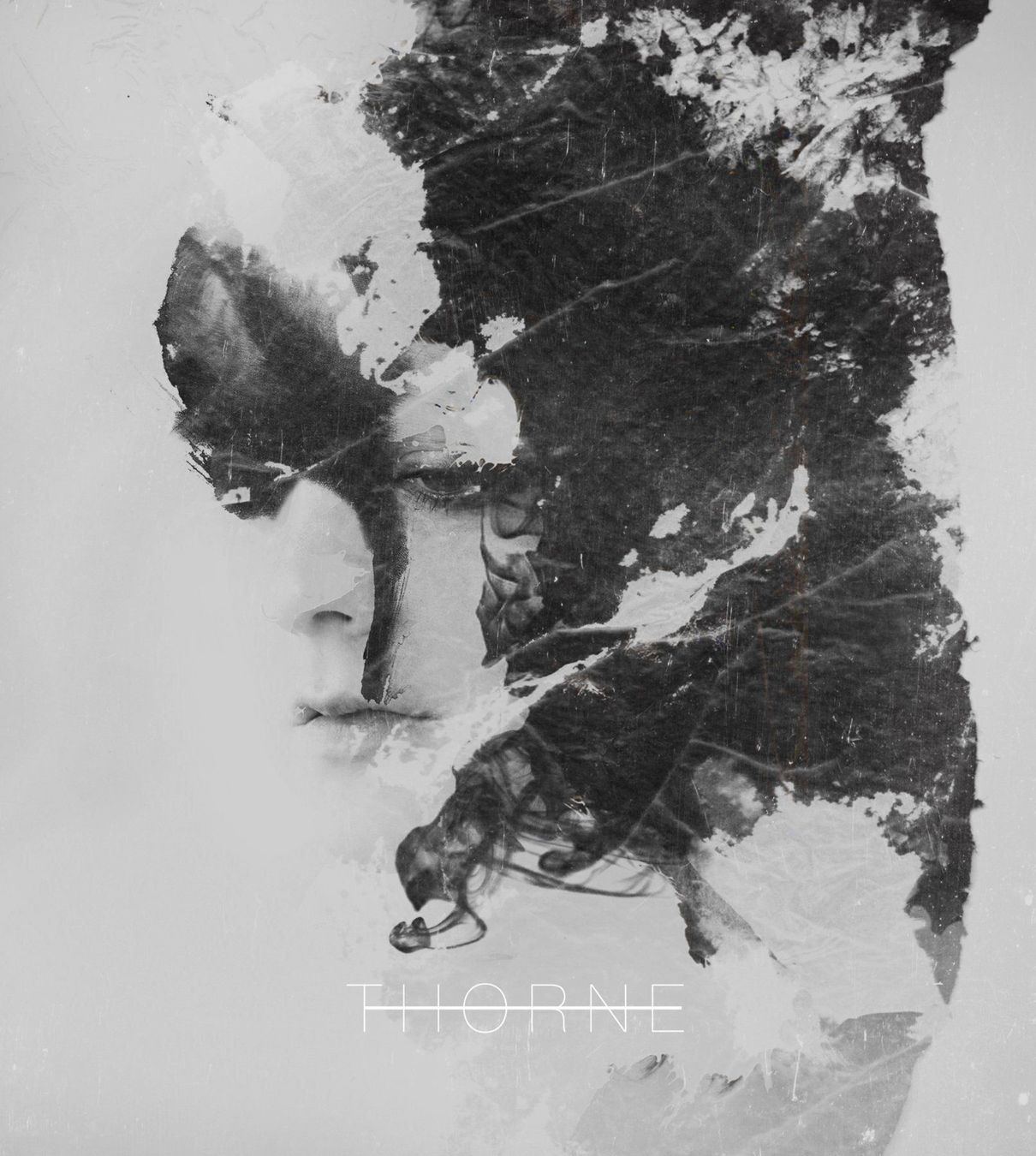CD: Thorne - And The Lion's Roaring From My – Usato da Uzwil venduto da visions77