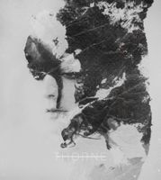 Thorne - And The Lion's Roaring From My