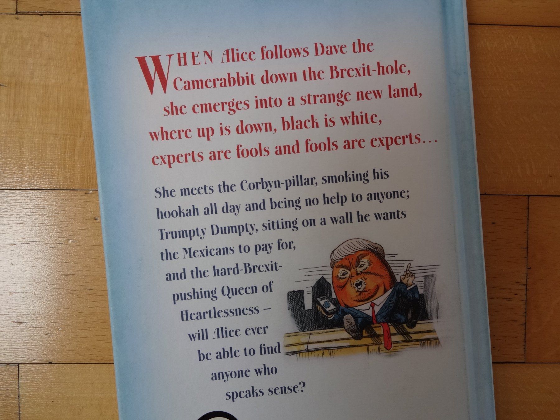 Libri: Alice in Brexitland – Usato da Olten venduto da J.Gr 1