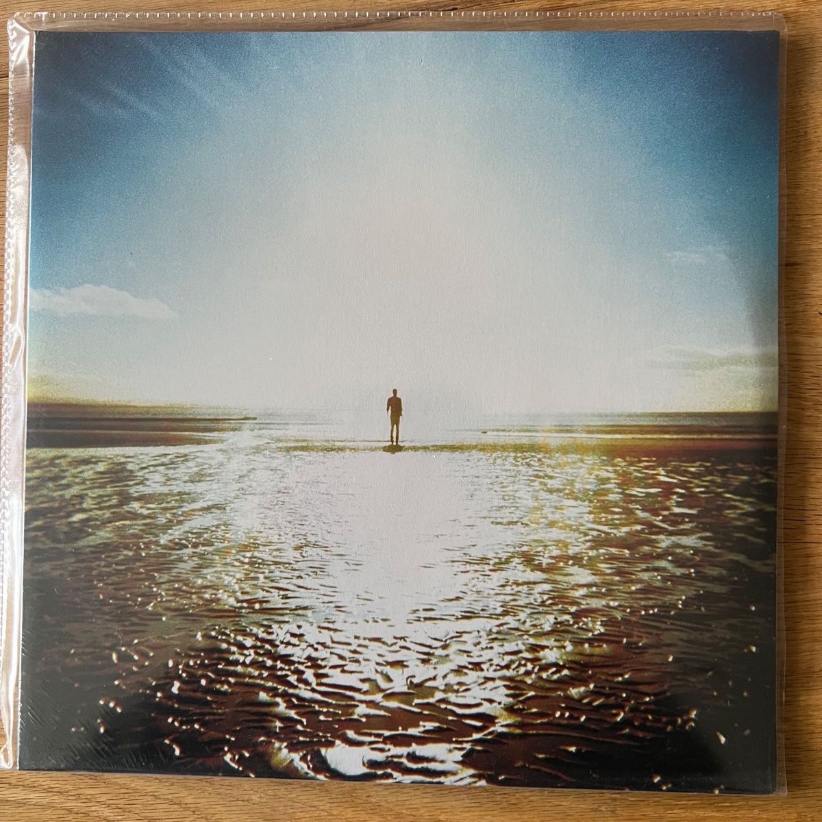 Dischi in vinile: Anathema - We're Here Because We're Here / 1. D-Press. 2010 – Nuovo e nell'imballaggio originale da Gais venduto da soundcave57