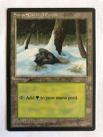 MTG - Snow Covered Forest - #direktkauf