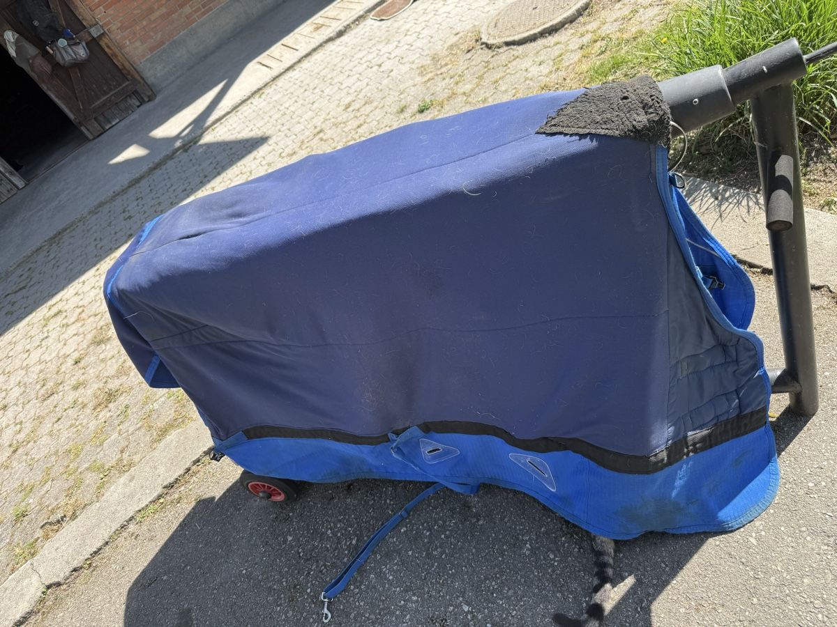 Decken: Pferdedecke Grösse 135 gebraucht – Gebraucht aus Widnau von sae_6kf6 3