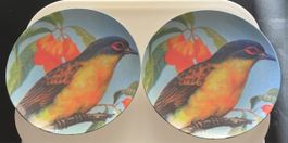 2x seltene Rice Melamin Teller, mit tollem Vogel Design