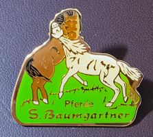R673 - Pin Pferd / Pferde S. Baumgartner
