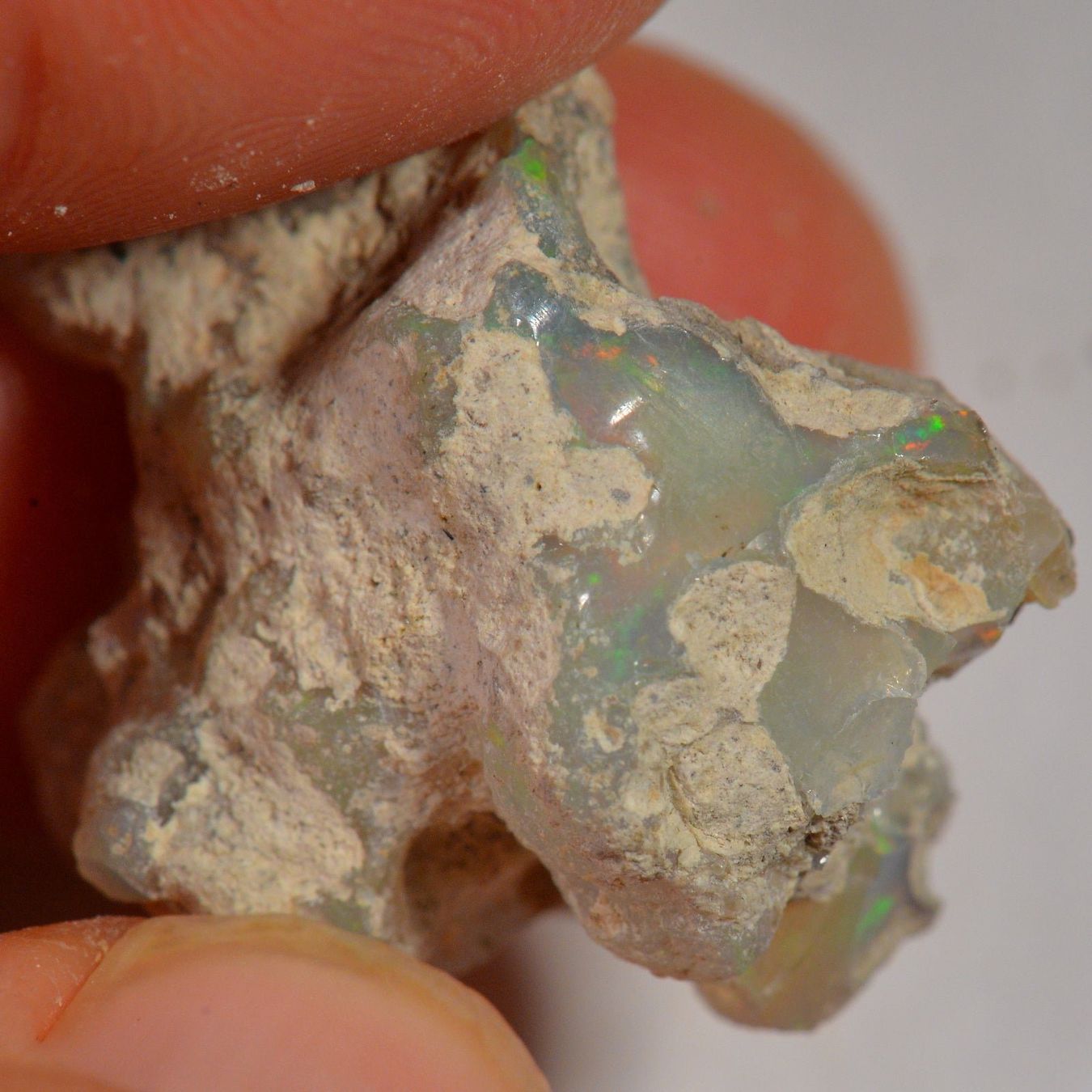 Pietre preziose: 32.6 Karat - Roher Äthiopischer Welo Opal – Nuovo (secondo la descrizione) da Rüti ZH venduto da DeinOpal 1