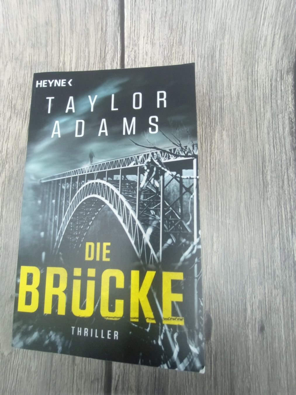Libri: Die Brücke Thriller Taylor Adams – Usato da Gisikon venduto da Tanja1983