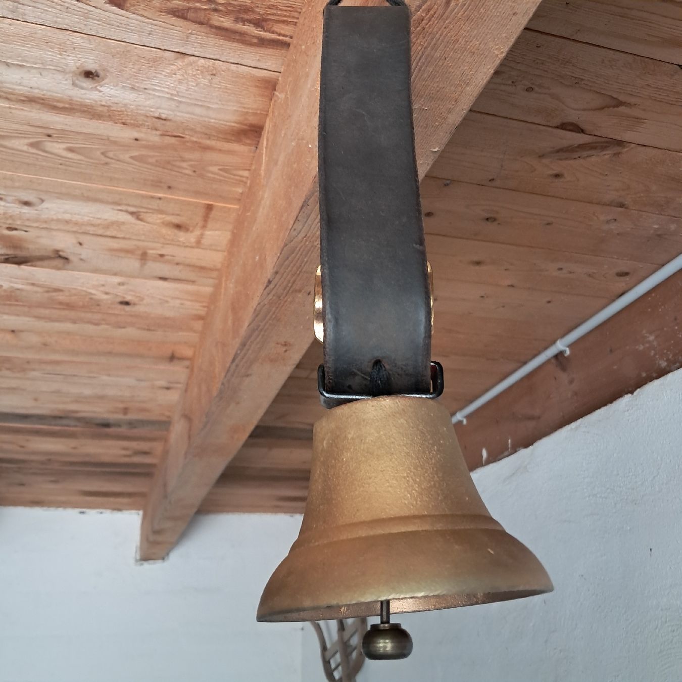 Cloches & sonnailles: Schöne Glocke 1994 – D'occasion à Murten par SHETHOF 3