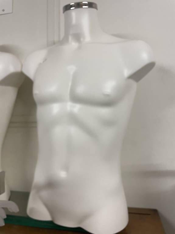 Altro in Decorazioni & Accessori: Manichino mezzo busto – Usato da Muralto venduto da proderoby