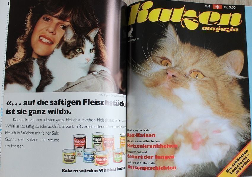 Zeitschriften & Magazine: Katzen Magazin – Gebraucht aus Schlatt TG von annesbuecher 1