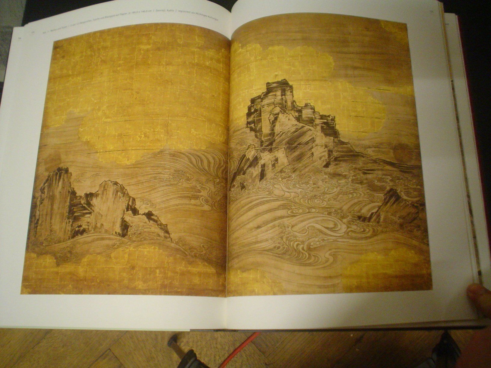 Libri: Museum Rietberg TÖHAKU – Usato da Welschenrohr venduto da Regool 3