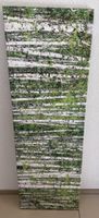 Leinwandbild Birkenwald 3-teilig 120 × 40 cm