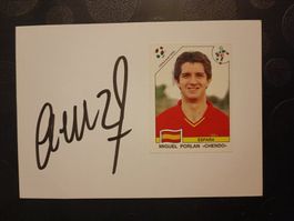 Miguel Porlan "Chendo"- handsigniert - Spanien WM 90