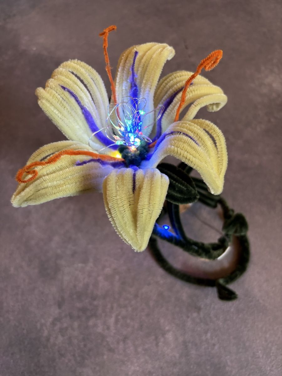 Tutte le decorazioni: Rapunzel Pfeifenreiniger Lampe – Nuovo e nell'imballaggio originale da Ramosch venduto da Lalaromi-80 3