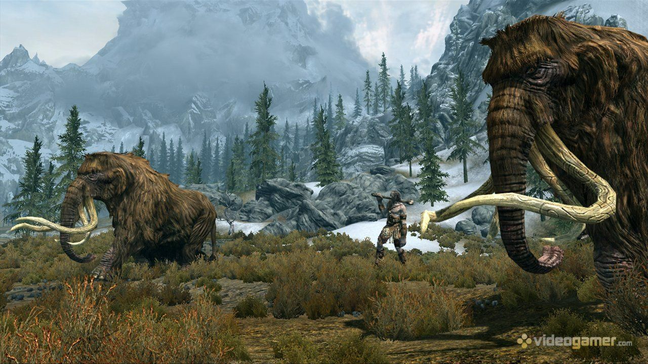 Sony Spiele: The Elder Scrolls V Skyrim   PS 3 – Gebraucht aus Schüpfheim von Games_Spielkonsolen 5
