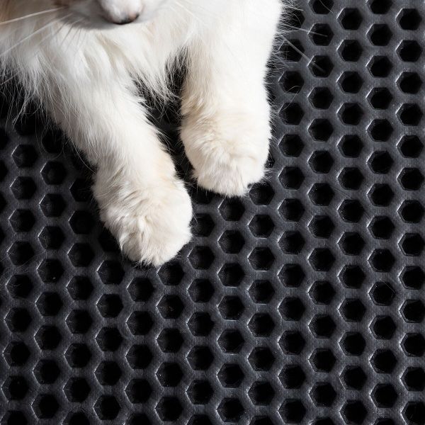 Cucce & Letti: TAPIS DE LITIÈRE POUR CHAT – Nuovo e nell'imballaggio originale da Châtelaine venduto da BONNE_AFFAIRE 5
