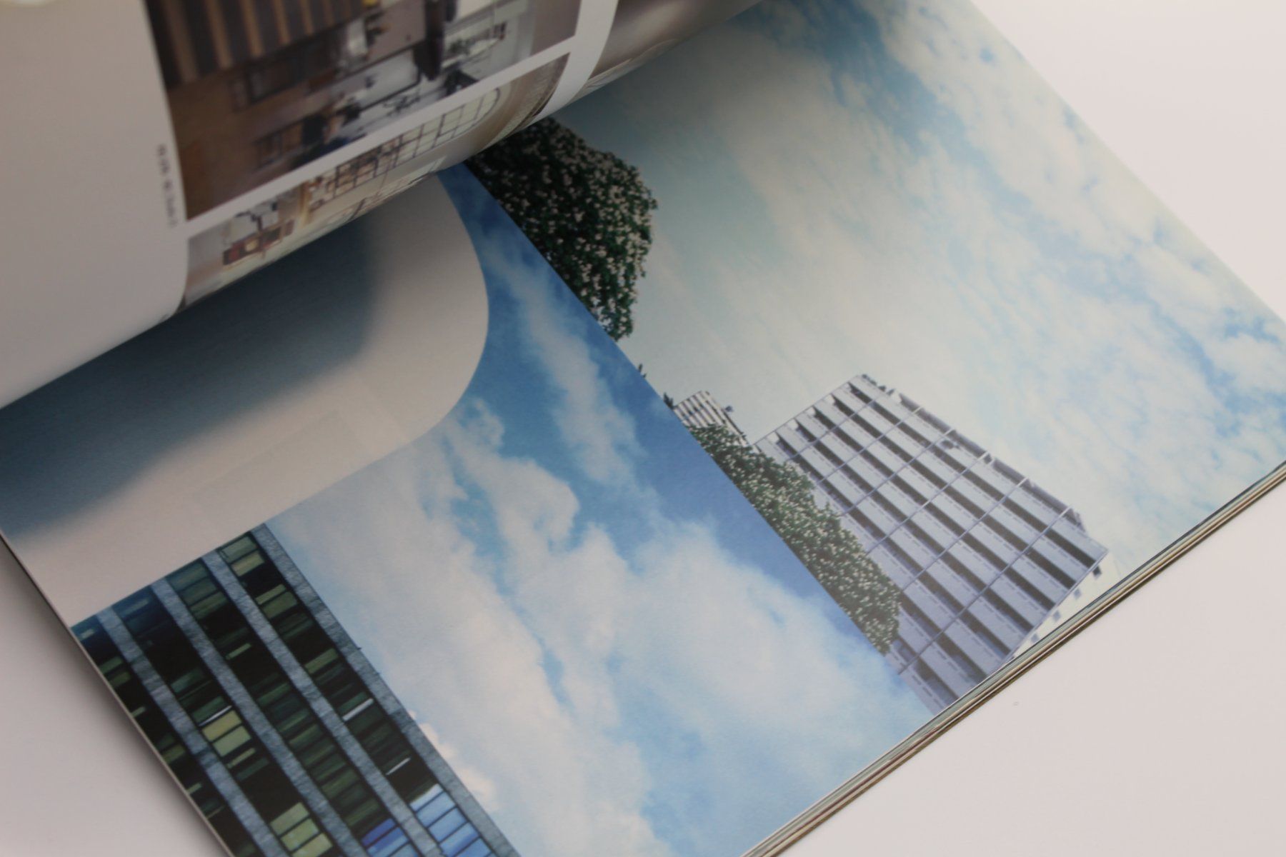 Libri: ZEFA: Fast Forward Business & Future (Blue Planet)  – Usato da Lachen SZ venduto da ratata 2