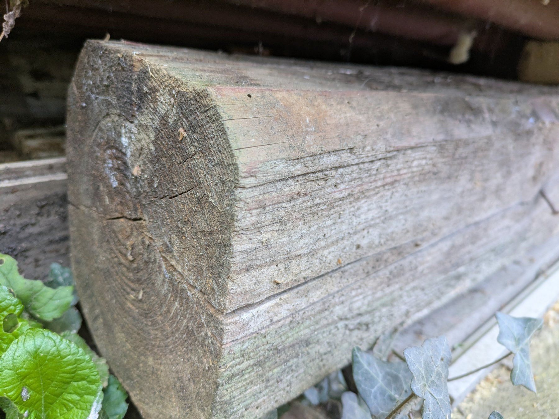 Articoli in legno: Poutre en Chêne massif – Usato da Pampigny venduto da nic_575j
