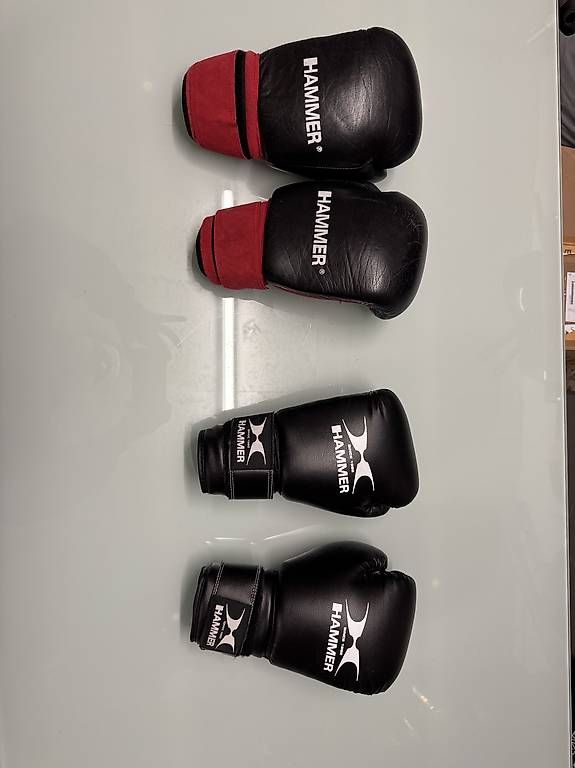Sacchi da boxe: Boxsack mit 4 Boxhandschuhen Hammer – Usato da Truttikon venduto da menefique 1