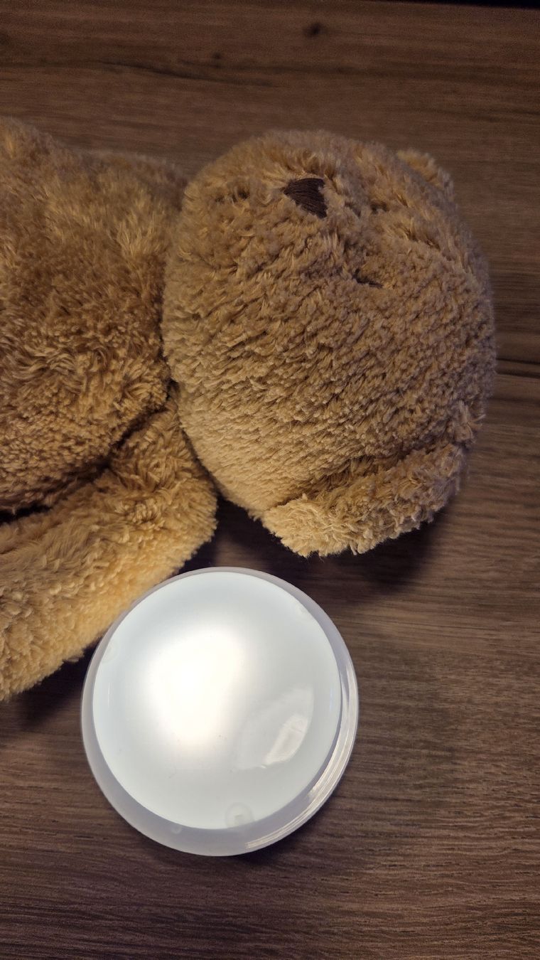 Giocattoli: Moonie Bär cappuccino NEU – Nuovo (secondo la descrizione) da Hofstetten BE venduto da De2812 2