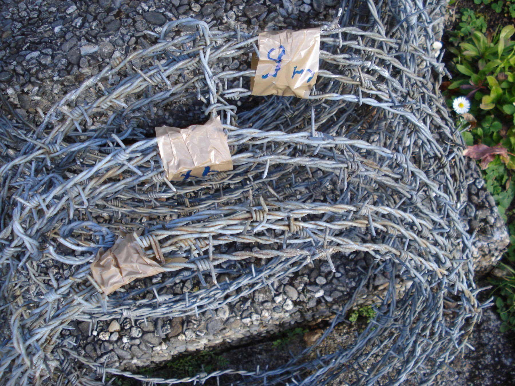 Recinzioni: CH-Armee-Stacheldraht, min. 90m – Usato da Unteriberg venduto da gamswild 3