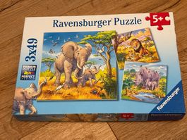 Ravensburger Safari Puzzle 3x49 Teile - 5+