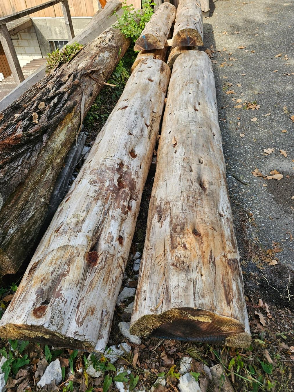 Holzartikel: Holz Hälblinge – Neu (gemäss Beschreibung) aus Aarburg von Joerg.Andre 3