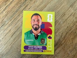 Panini FIFA 2026 ECU 2