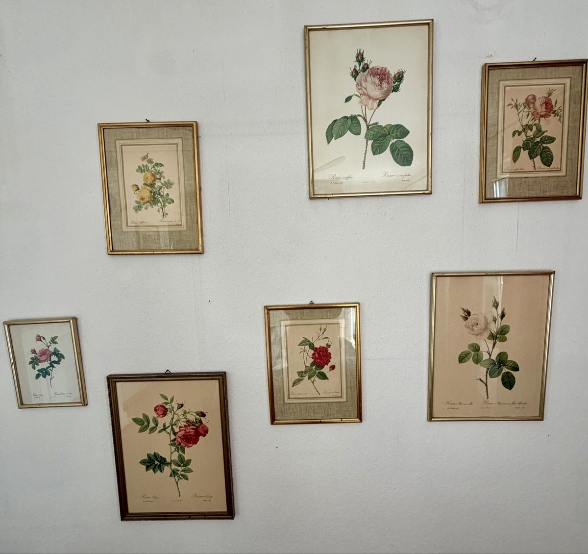 Poster & Bilder: Diverse Rosenbilder 7 Stück  – Gebraucht aus Fribourg von Fmia 1