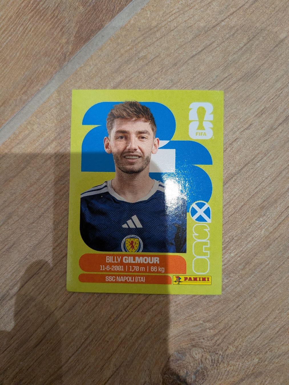 Panini Carte collezionabili: Panini Bild SCO 12 – Usato da Eschenbach SG venduto da SanFranciscoCalifornia